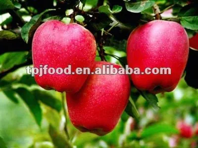 Hua Niu Apple