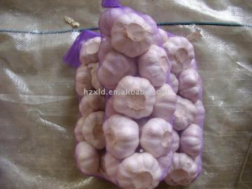 garlic with 1kg packing