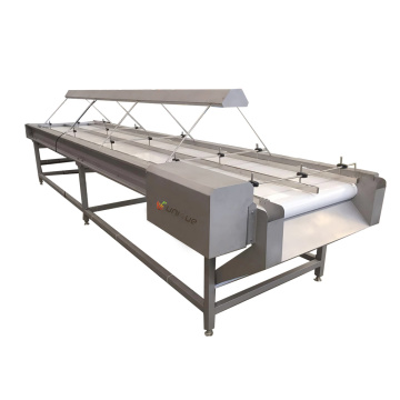 Best Sales Fruit and Vegetable Sorting Machine: Orange, Onion, Apple Conveyor System