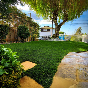 Exploring the World of Artificial Grass