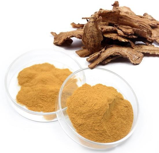 Angelica Extract