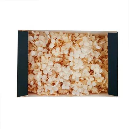 Eternal Life White Hydrangea: Preserved Anna Hydrangeas