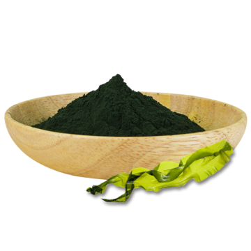 Arthrospira Platensis Extract Spirulina Algae Powder