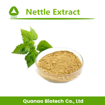 Top Quality Nettle Leaf Extract Powder 10:1