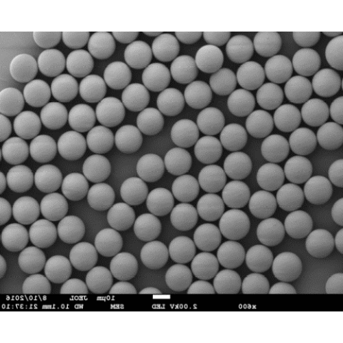 Reversed Phased Polymeric Resin InVent PS 10