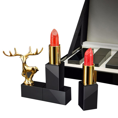 Lippenstift-Set Box zehn Lippenstift-Geschenkbox