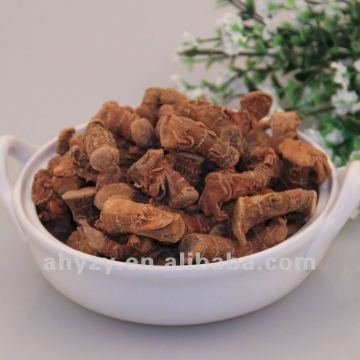 Galanga(gaoliangjiang)