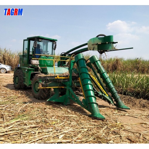 Mini machine de découpe de canne à sucre d&#39;équipement de récolte durable