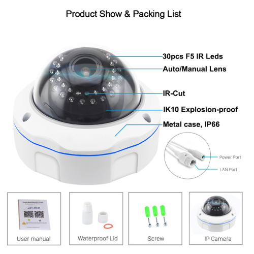 Vandal-proof OEM 2.0MP CCTV IR Dome IP Camera