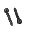 Black Oxide Coating Hex Socket Head Tapping Screws