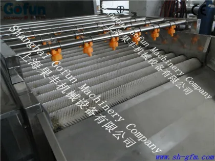 fresh fruit /vegetable washing machine for sale