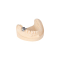 /msite/products/detail/productid/63084807/id/1514404.html