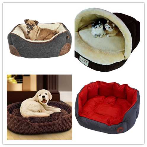 dog bed 10