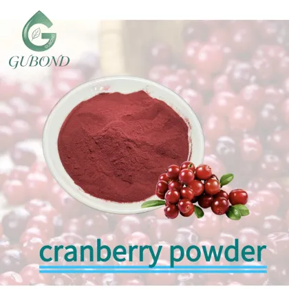 Cranberry Spray Dried Fruit Powder