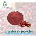 Порошок сухофруктов в виде спрея клюквы