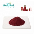 Cosmetic raw material lycopene powder Tomato Extract