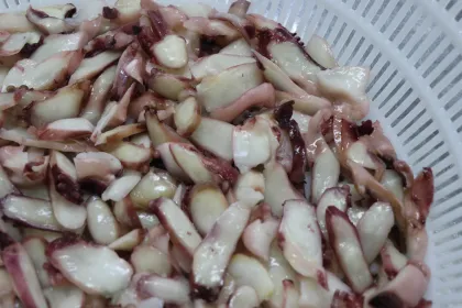 Frozen boiled octopus slice