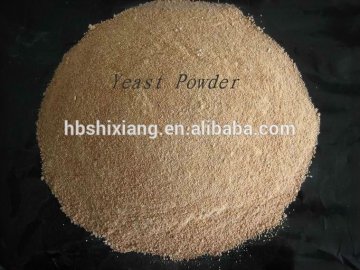 protein 60% feed yeast for animal feed