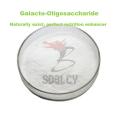 Galacto-Oligosaccharidpulver Gold Prebiotikum