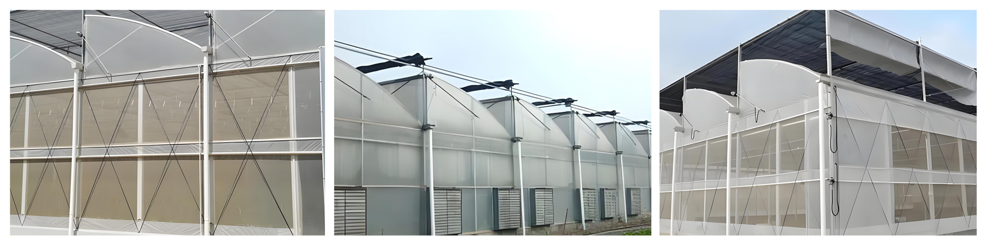 Suitable for regions with high summer temperatures