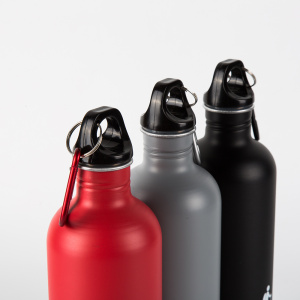 Kundengebundene 750ml Metallgetränk-Flasche NZ Art