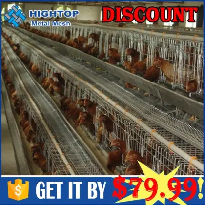 4 tiers animal husbandry equipment for Kenya