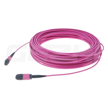 Factory Supply MPO 12F OM4 Multimode Fiber Optical Patch Cord