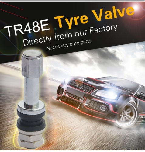 TR48E Long metal truck tire valve stem for light passenger car and light truck