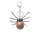 Picture Jasper 16MM Ball Antique Silver Spider Pendant (47x40mm) Necklace 45cm Black Cord