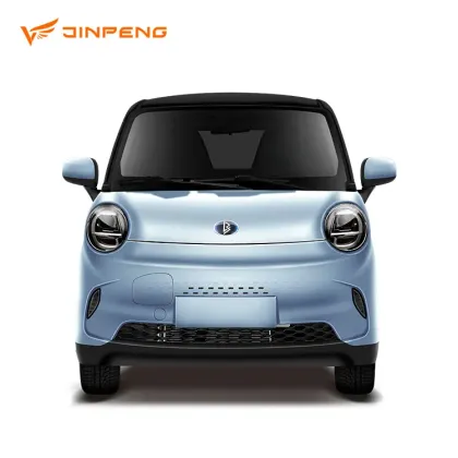 2023 Mini Electric Cars: New Energy Vehicles