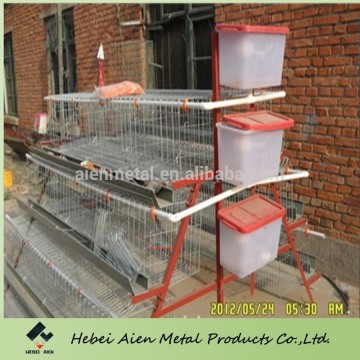 automatic type egg layers cage design
