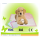 Pet toilet wee  training pads