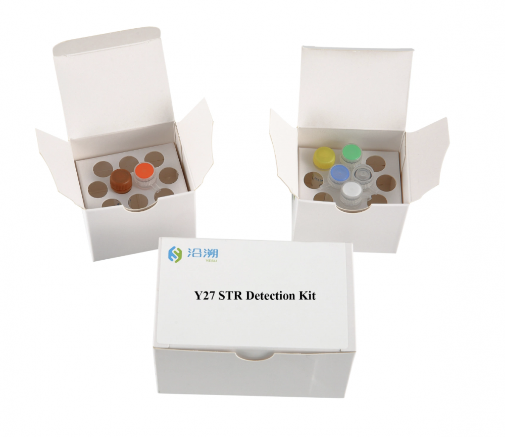 Y 41se Str Detection Kit