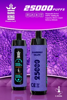 Bang king Shisha 25000 puffs vape Richer Taste