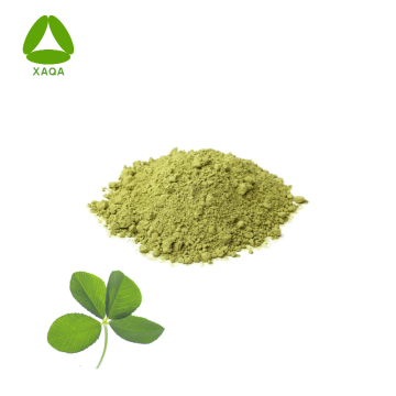 Bio -OEM -Versorgung Alfalfa -Blattextrakt 99% Pulver
