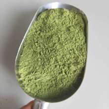 300 Mesh Barley Grass Powder With Wholesale Price