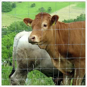 Premium -Viehfarm -Feldgraslandzaun