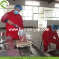 Wholesale Bulk Vitamins Low Pesticide Goji Berry