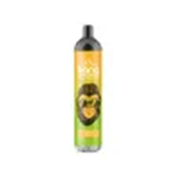 Netherlands Hot Sale Vape Bang king 6000 Puffs