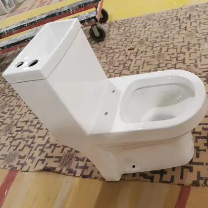 Combi Toilet Bowl with Wash Basin - 2 in 1 Public Toilet Set