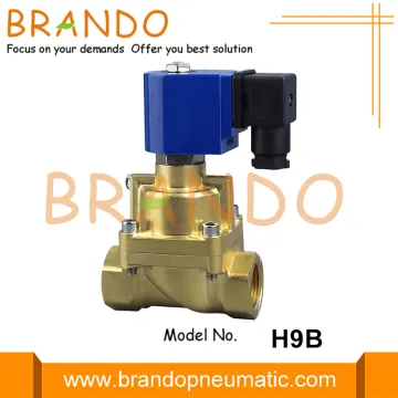 100 bar High Pressure Solenoid Valve 220VAC 24VDC