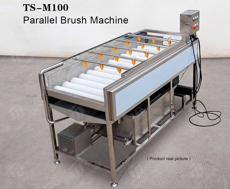 tomato washing machine
