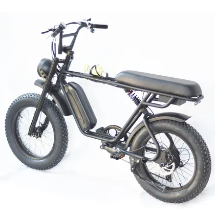 Boxu Factory Morels Prime Electric Bike with Fat Tire: 48V 350Watt Battery and Motor