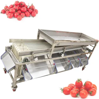 Automatic Fruit and Vegetable Size Sorting Grading Machine