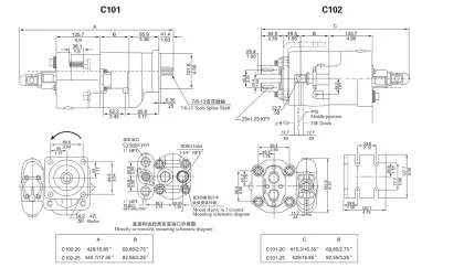 FOR Parker Metaris Commercial C101&C102 Dump Pump Gear Pump