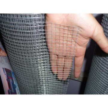 Hot-dipped Galvanized Welded Wire Mesh