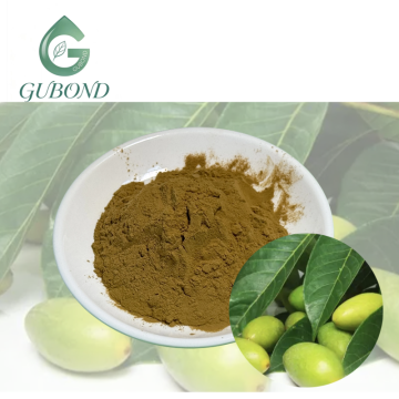 Extrato de azeitona para suplementos dietéticos