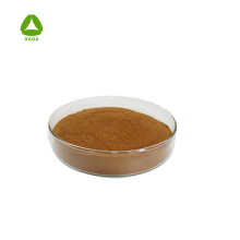 Wolfberry / Goji Berry Extract Powder Polysaccharide 20%
