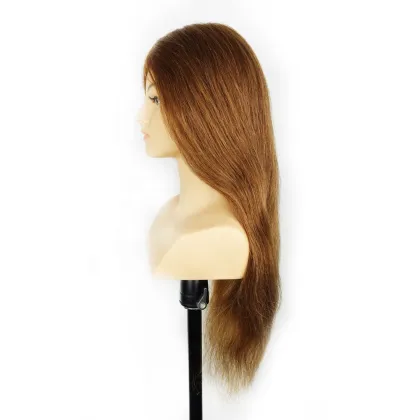 Wholesale human hair mannequin head with shoulders,training head with shoulders for hairdresser