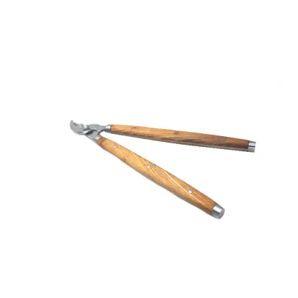 SALI Wood Handle Bonsai Tools - Stainless Steel Pruners and Scissors
